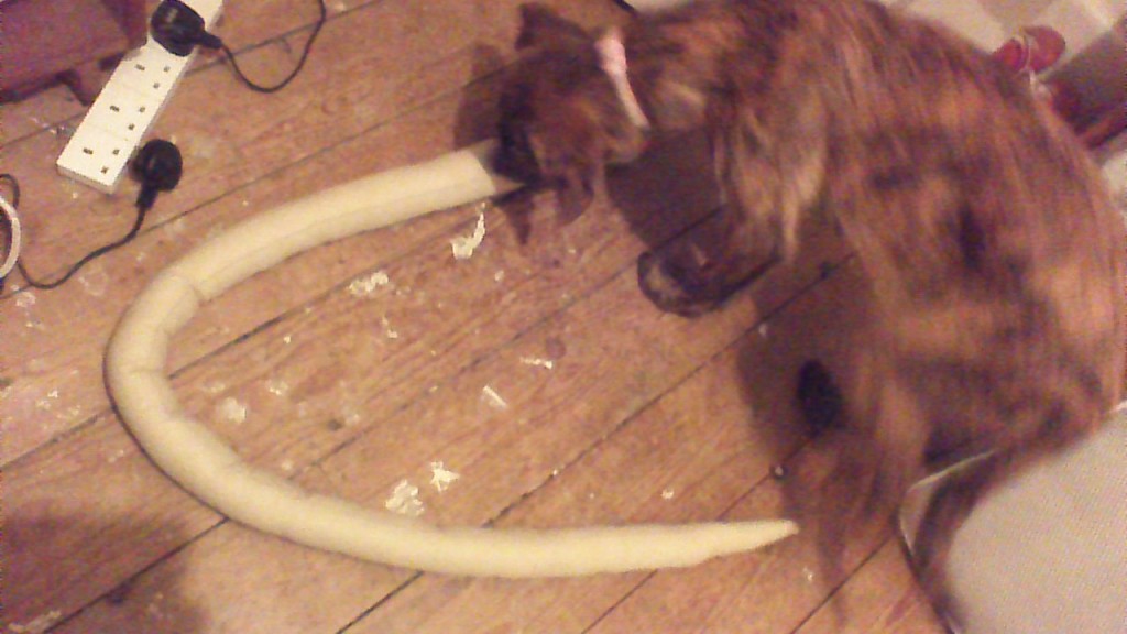 FAITH - WIN_20150313_080331