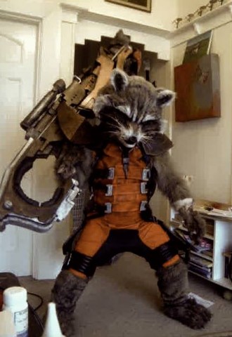 rocket-raccoon-costume-1-330x480