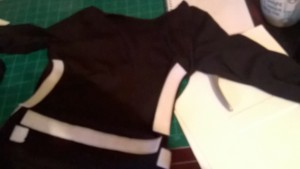 WP_20151108_13_45_21_Pro